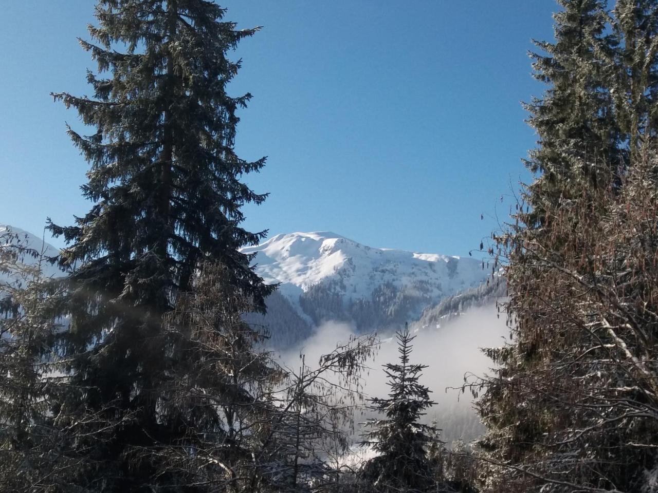 Berghaus Koglmoos Hotel Ауфах Екстериор снимка